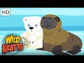 Wild Kratts | Polar Bears Don't Dance | Full Episode | Season 1