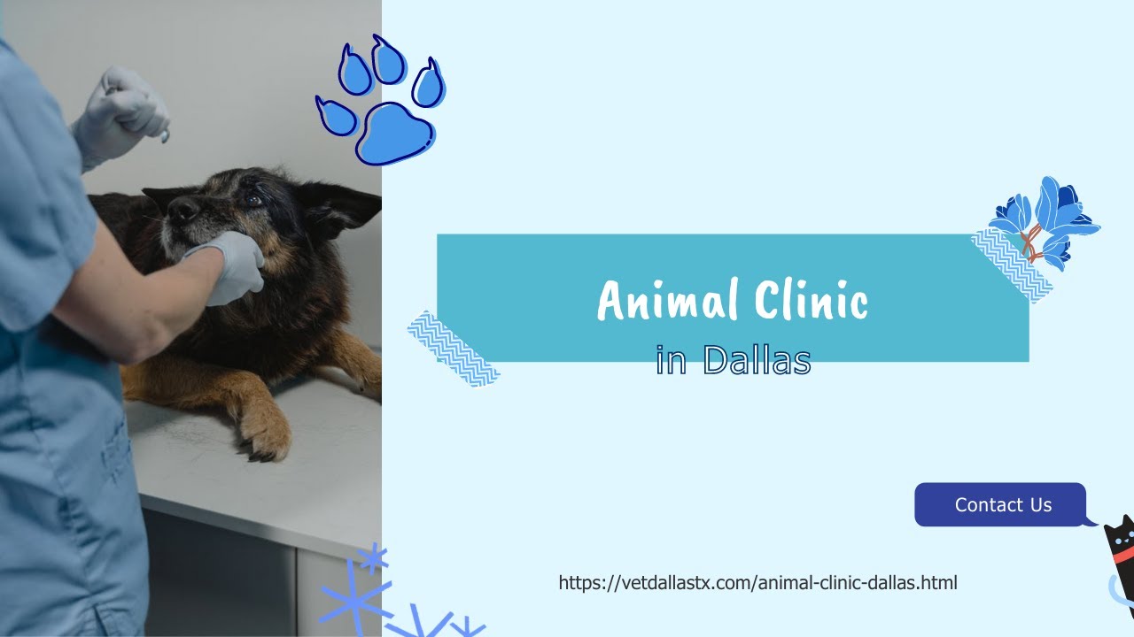 Animal Clinic in Dallas