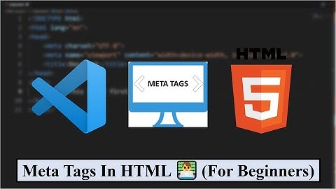 Meta Tags In HTML 👨‍💻 (For Beginners)