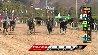 Vidéo de la course PMU PREMIO OVACION