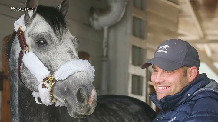 Brad Cox Talks Knicks Go's Pegasus and Retirement on Let's Talk Podcast