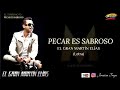 Pecar es sabroso - Martin Elias (letra)