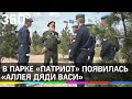 Аллея дяди Васи : десантники высадили 90 кедров в честь юбилея ВДВ