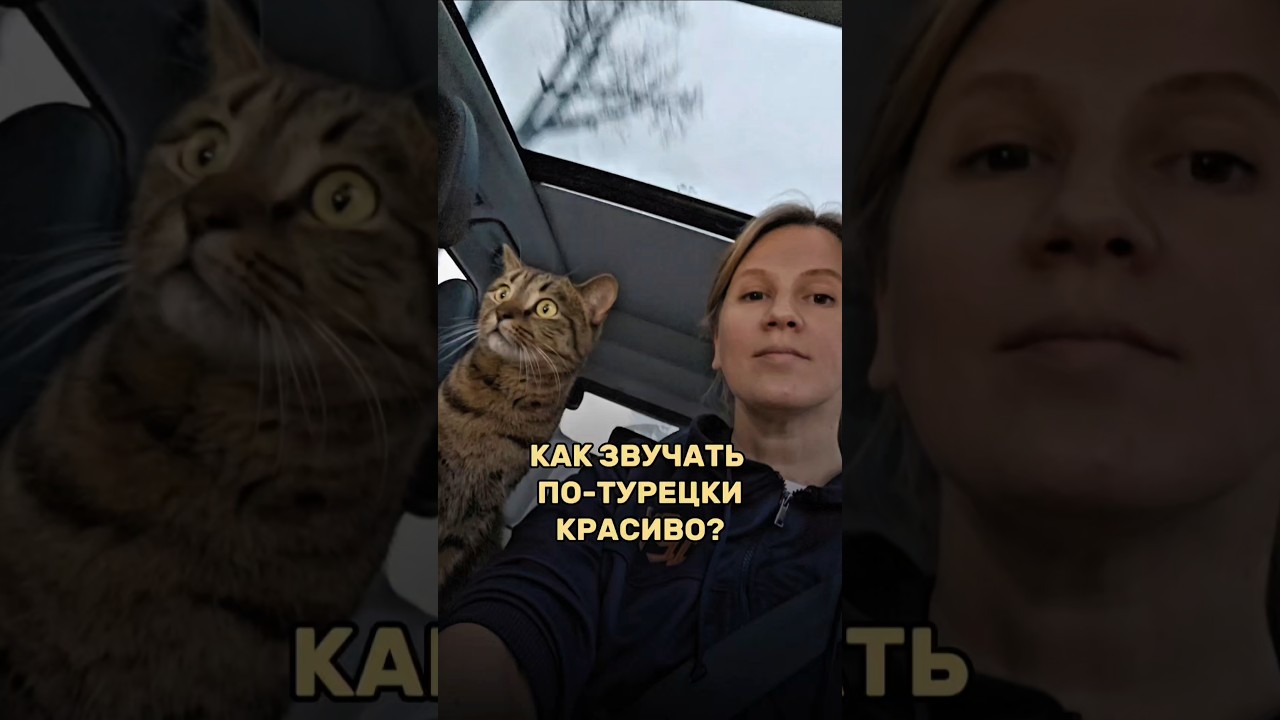 КАК ЗВУЧАТЬ ПО-ТУРЕЦКИ КРАСИВО? Мини-урок в ТГ-канале, ссылка в профиле