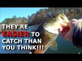 The EASIEST Way To Find And Catch COLD Bass!!!!