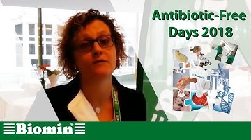 Risks Mycotoxins Pose to Poultry in the Context of Antibiotic Reduction