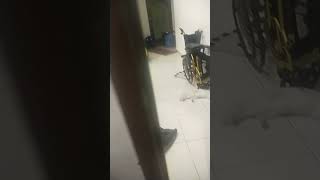 no my phone lag😭✌ #funny