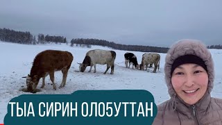 Тыа оло5уттан биир кун/ один день сельской жизни/ Чурапчы-Дирин