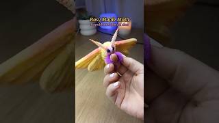 🩷🧡 Rosy Maple Moth DIY🧡🩷 Do your own moth at home!