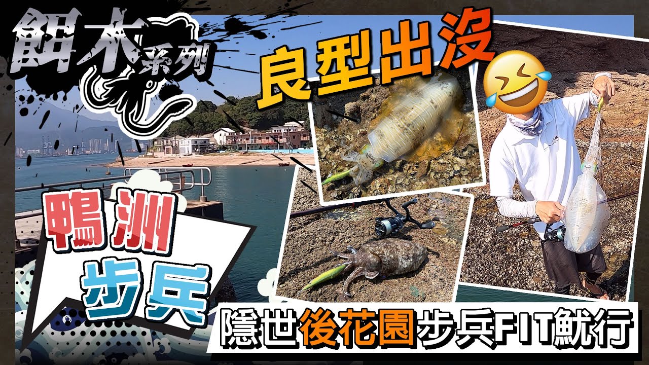 餌木 隱世後花園鴨洲步兵fit魷行良型大尾魷出沒 香港釣魚 Youtube