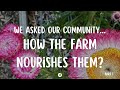 How does the farm nourish you garden to table silicon valley