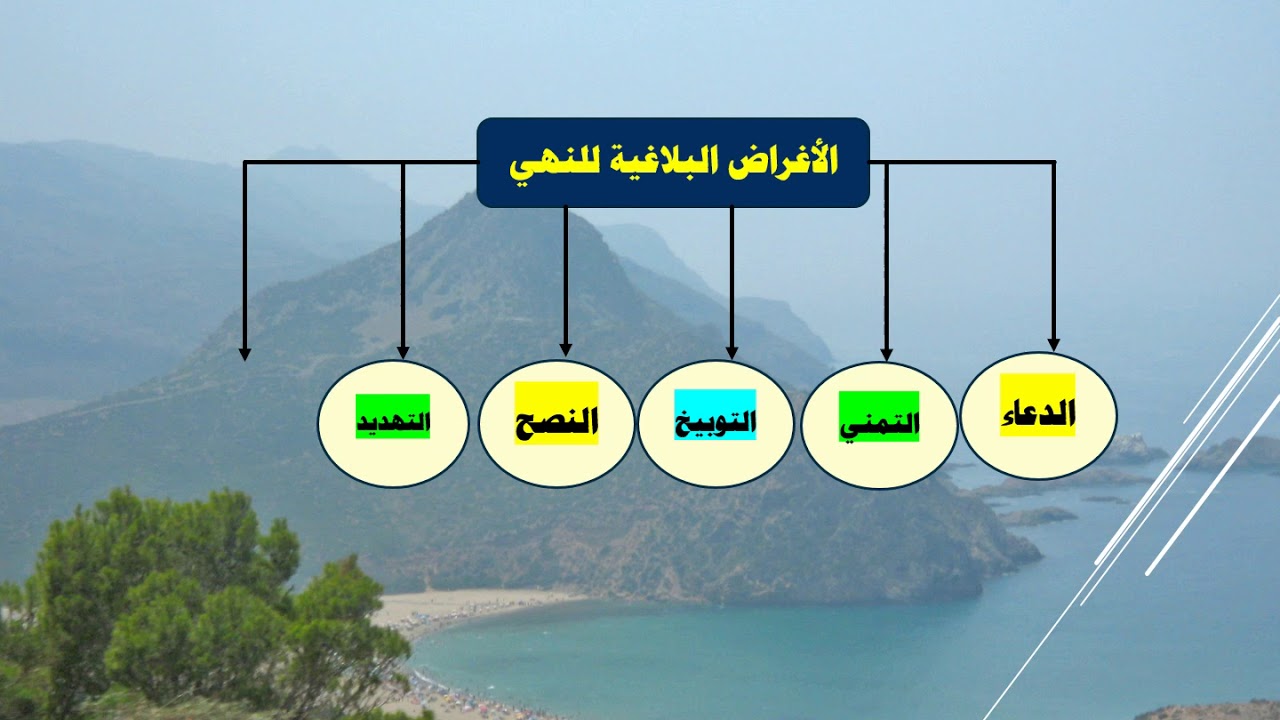 أسلوب النهي وأغراضه البلاغية   شرح وتوضيح الدكتور رأفت الشرقاوي