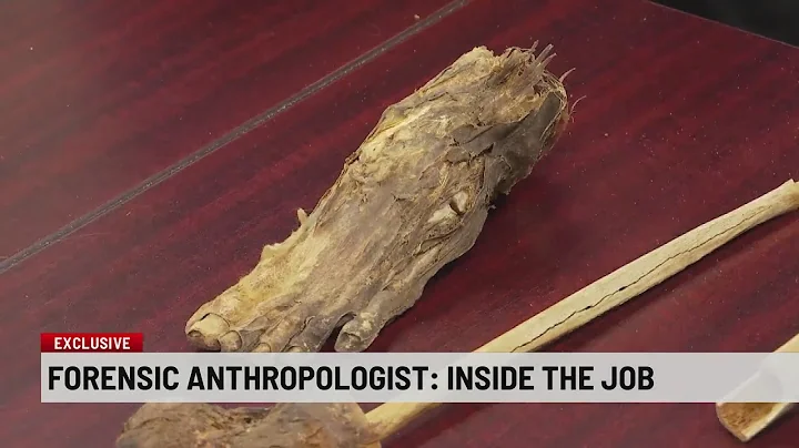 7NEWS Exclusive: Inside the job of a forensic anthropologist