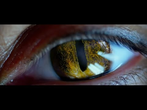 Lucy (2014) best scene