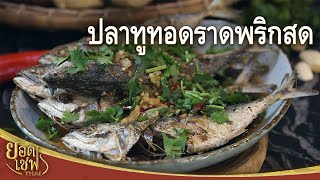 ปลาทูทอดราดพริกสด Fried Short bodied Mackerel with Chili | ยอดเชฟไทย (08-07-23)