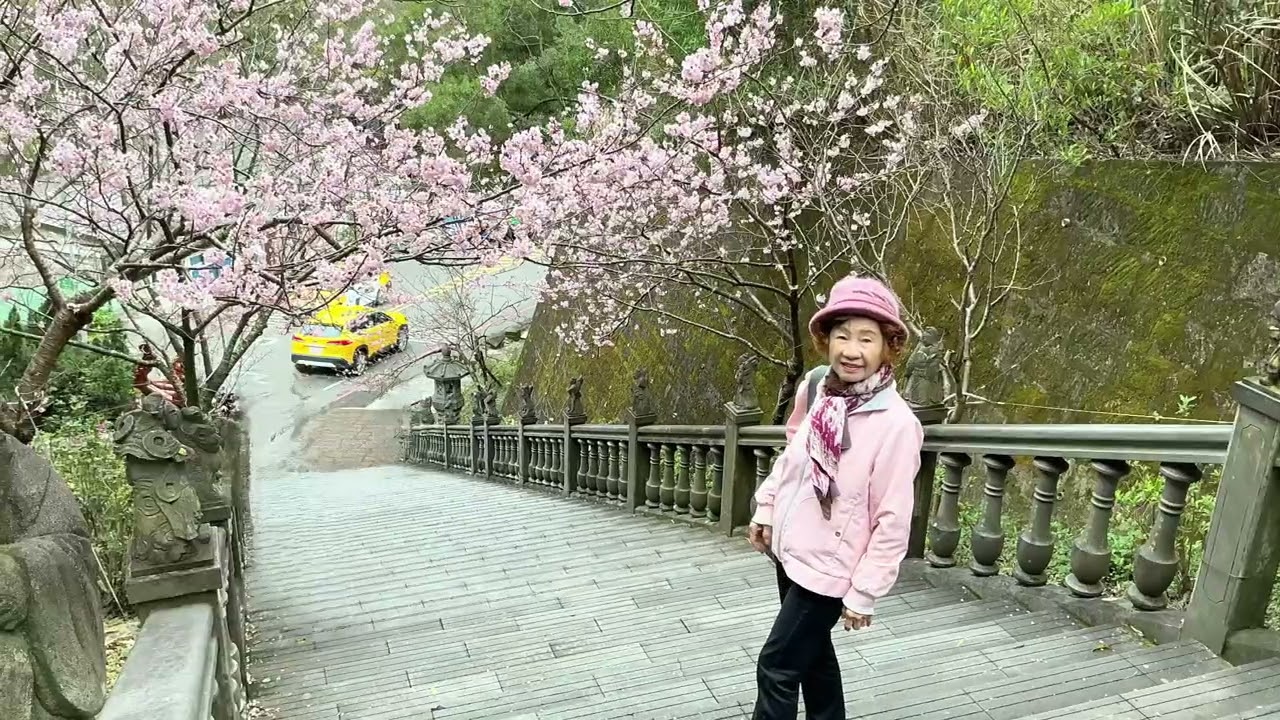 115年2月25日內湖碧山巖賞櫻（1）