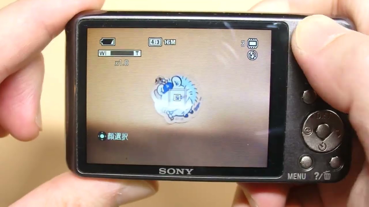 🧱 **SONY Cyber-shot DSC-W570 | 1610 萬像素CCD** 🥈 - YouTube