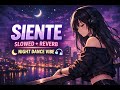 LOWX SIENTE Dance Slowed Reverb Night Vibe