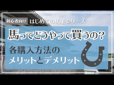 【初心者向け】馬ってどうやって買うの？各購入方法のメリットとデメリット（はじめての馬主シリーズ）