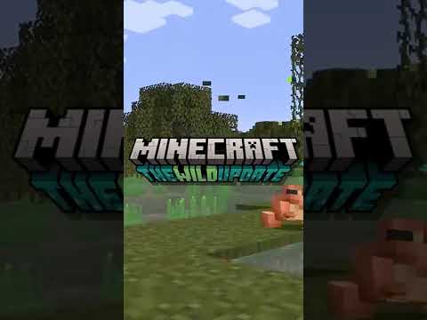 Why Minecraft Removed Fireflies