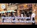 Shanghai Disneyland One Week After Reopening | What's Changed Already