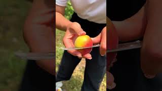 The Most Perfect Apricots You'll Ever See! 😱🍑