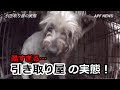 【虐待】酷すぎる…「犬猫引き取り屋の実態」