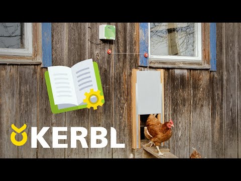 Video: Wie groß muss eine Hühnertür sein?