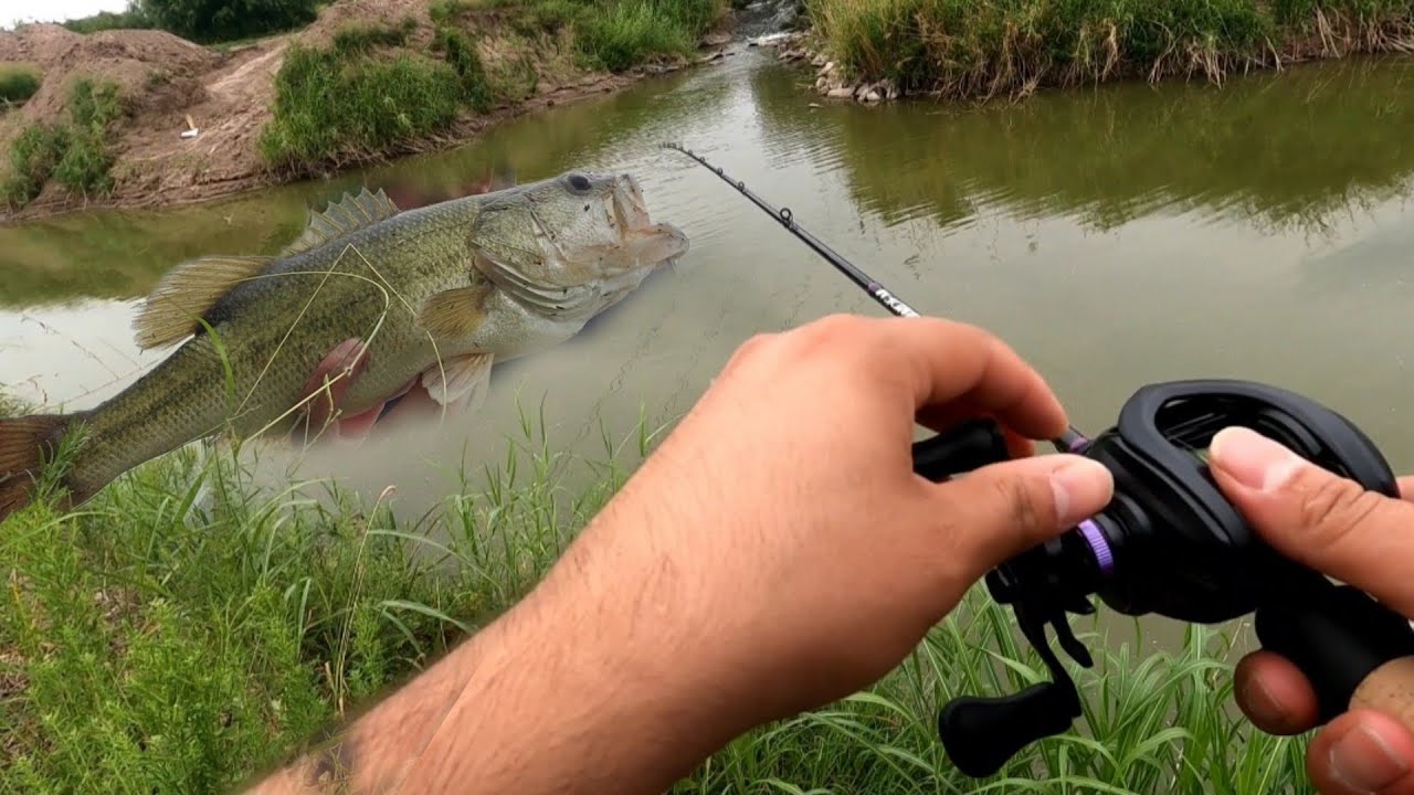 South Texas Bass Fishing (New rod)