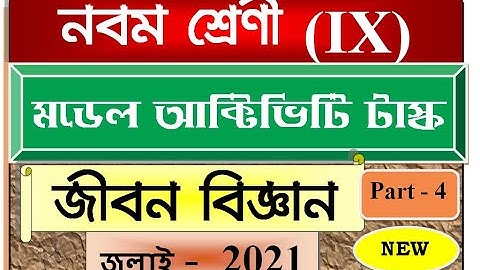 Model Activity Task class 9 Life Science part 4/Class IX Life Science Activity task July 2021 part 4