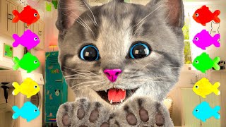 Little Kitten Adventure - Super Funny Kitty Adventure Journey Cartoon Video - New Game