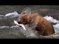 Dangerous, Deadly Games | World's Deadliest MEGA Episode | Nat Geo Animals