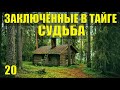 ПЛОТИНА ДОБЫЧА ЗОЛОТО - ЗАКЛЮЧЕННЫЕ В ТАЙГЕ ПРИИСК СТАРАТЕЛЕЙ СУДЬБА ЧЕЛОВЕКА  ЖИЗНЬ В ЛЕСУ ПОХОД 20