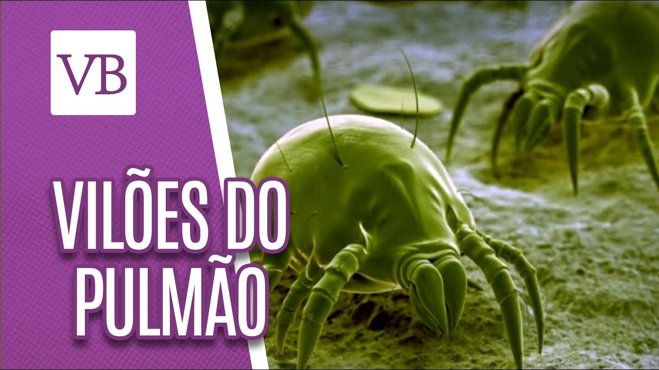 Vilões do Pulmão em Casa - Você Bonita (21/06/18) vida saudável herbalife