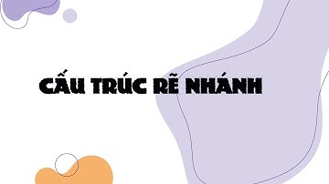 Cấu trúc rẽ nhánh IF - ELSE trong Python