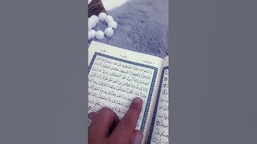 #سورة_البقرة #علاء_عقل #القران #اكسبلور #القاريء #explore #لايك #تيك_توك #حالات_واتس