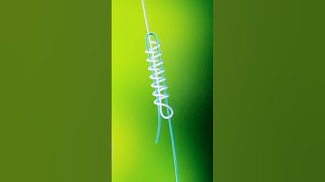 Fishing knot for leader to main line | Albright knot #shorts