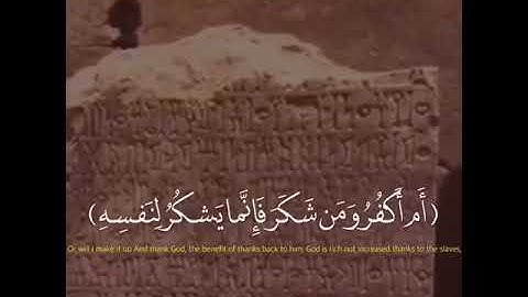 تلاوة خاشعه لـ اسلام صبحي | قَالَ يَا أَيُّهَا الْمَلَأُ أَيُّكُمْ يَأْتِينِي بِعَرْشِهَا💙💙.