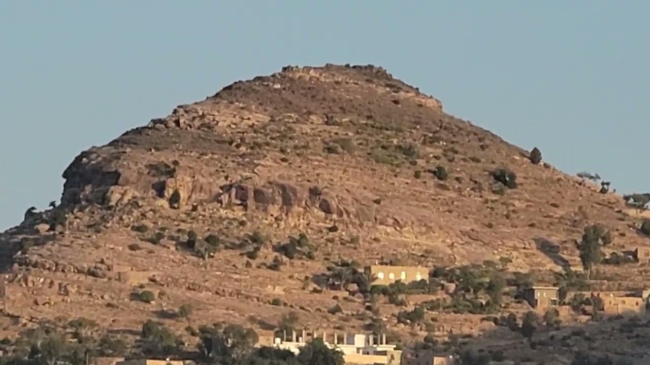 ٢٩ نوفمبر ٢٠٢٥