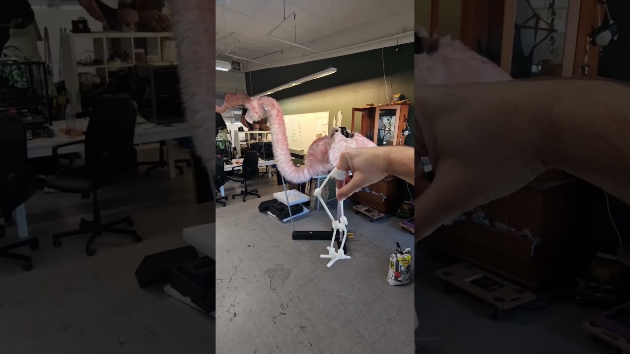 Pétur has legs for DAAYYYYS! 🦩