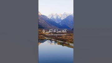 #سورة_غافر #القارئ_ناصر_القطامي #لا_اله_الا_الله #اللهم_صل_وسلم_على_نبينا_محمد #quransbeauty1