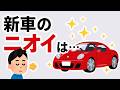 みんなが知らない車の雑学