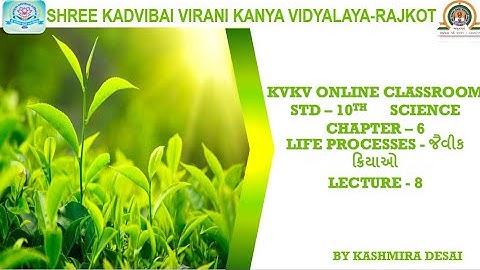 Std-10th/Science/Chapter-6 ✳️ જૈવિક ક્રિયાઓ✳️Lecture-8