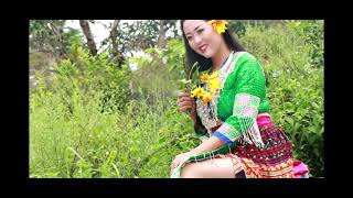 Txiv Laus Dag Niam Hlua Liab Qab Npuaj Paum 11152021