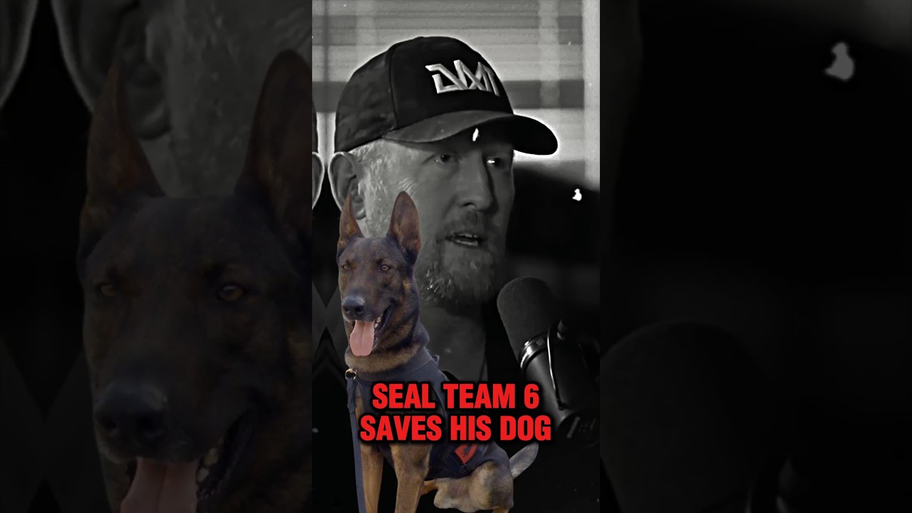 Seal Team 6 Saves His Dog