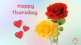 wishes l Happy Thursday video l Happy Thursday wishes l WhatsApp status Happy Thursday l screenshot 3