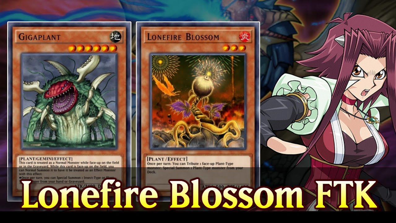 yugioh harpie deck Amazon.com: Complete Custom Deck for Yu-Gi-Oh! main image 0