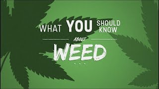 Learn about Weed