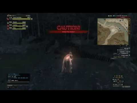 ドラゴンズドグマオンライン Youtube