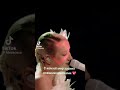 Вместе они засияли с новой силой... 😍
